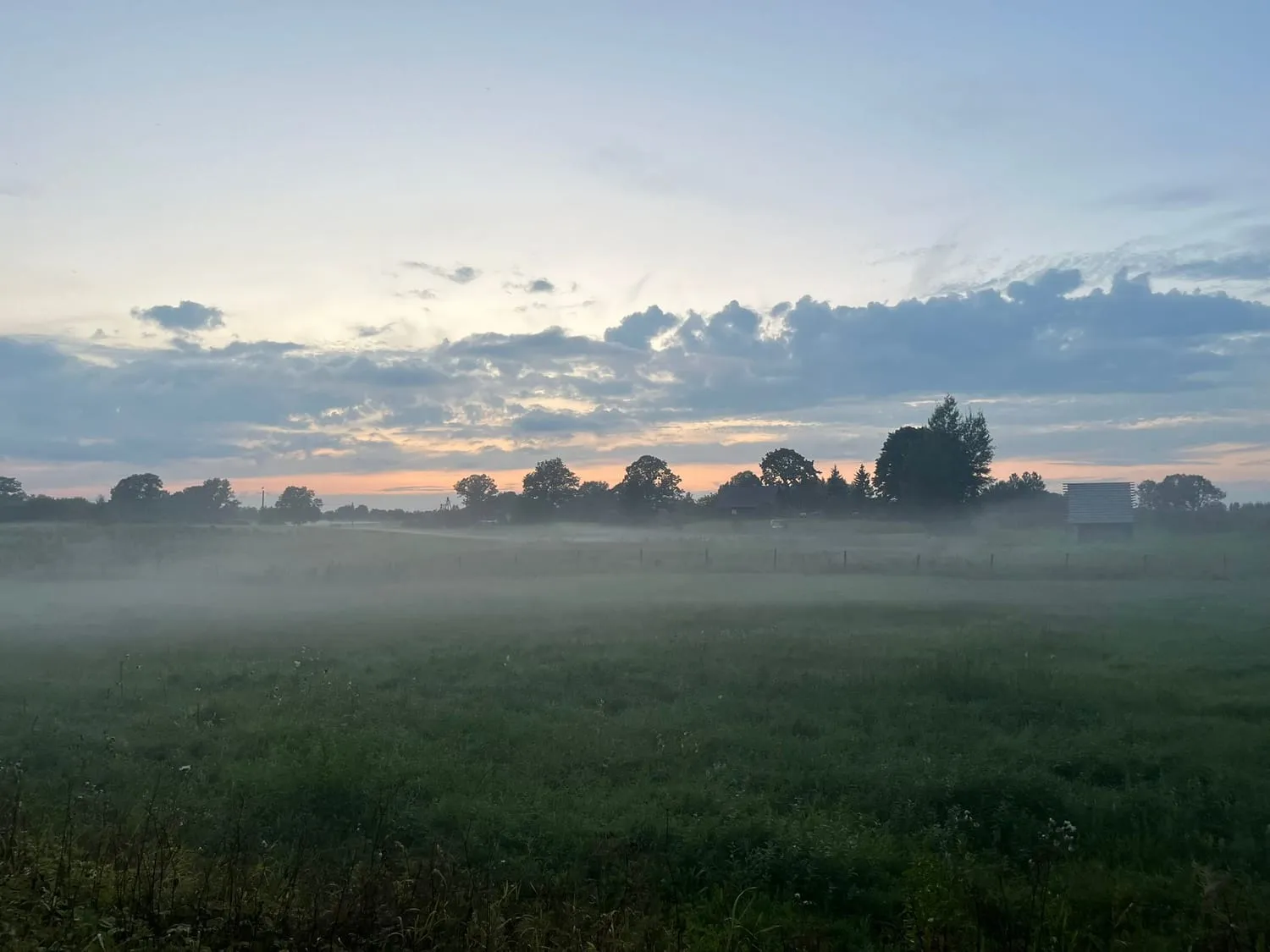 Mist lying across a green field at first light, trees behind it.