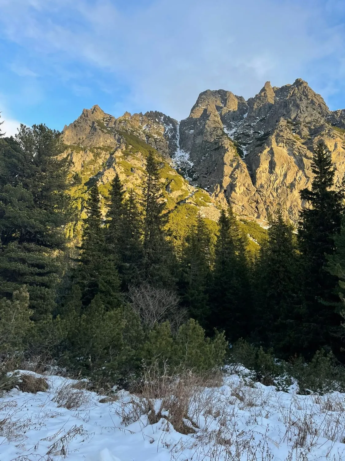 A sunlit rocky peak above pines, with snow still on the ground.