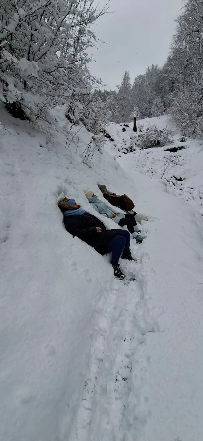 A snow covered track through trees, someone lying down in the snow on it.
